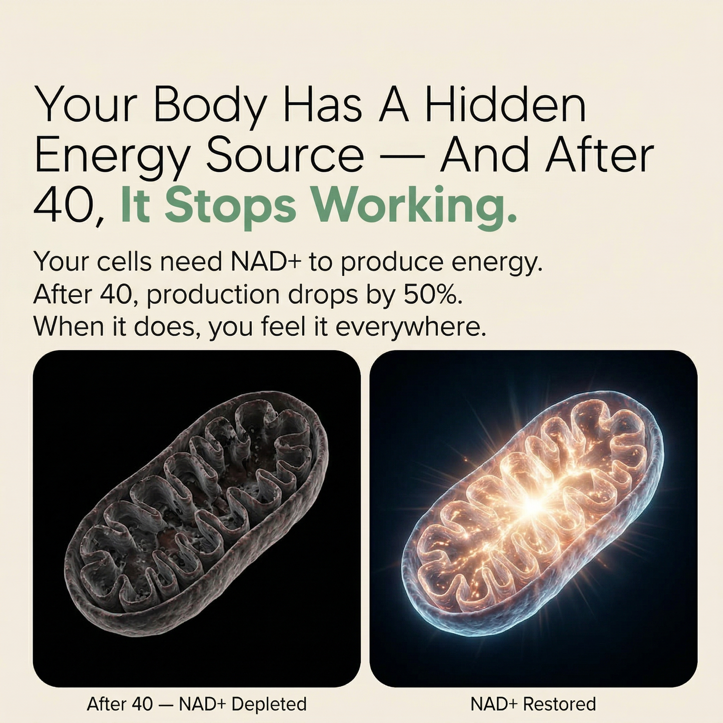 NMN 1000MG Anti-Aging Complex